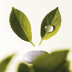 Inflammation Balance