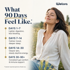 Wellora® Oil of Oregano Softgels - Daily Gut & Immune Defense