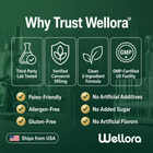 Wellora® Oil of Oregano Softgels - Daily Gut & Immune Defense